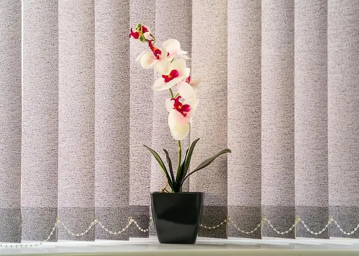 Stylish 4 Bed Henbury With Free Parking Prázdninový dům Bristol